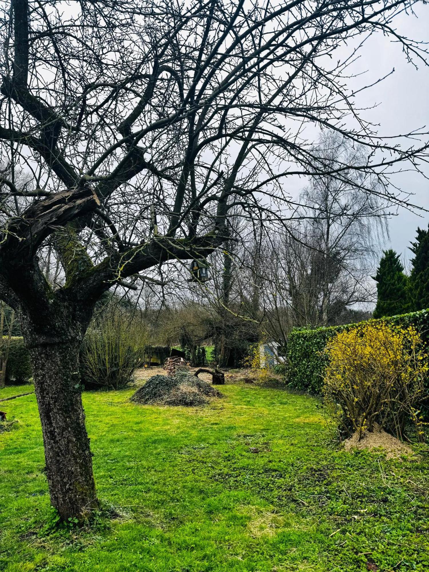 Au Coron Des Anges Mons